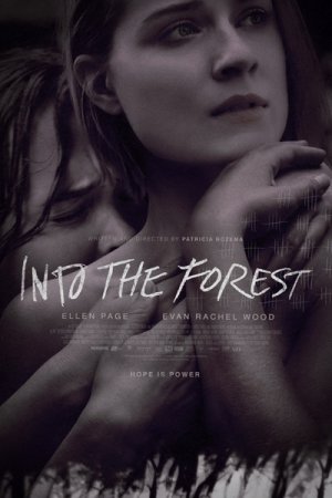 В лесу / Into the Forest (2015) MP4 ()